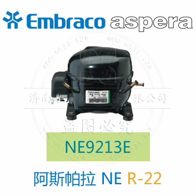 NE9213E